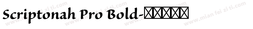 Scriptonah Pro Bold字体转换